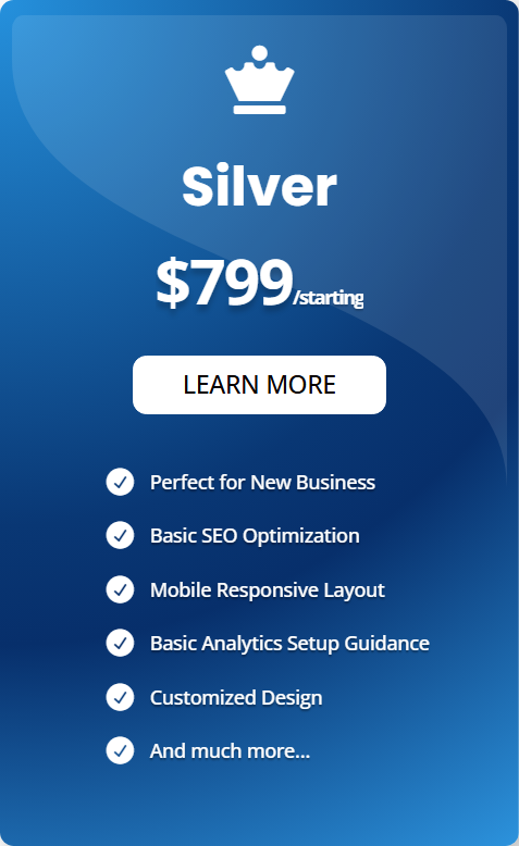 Silver Plan - Virginia Web Development